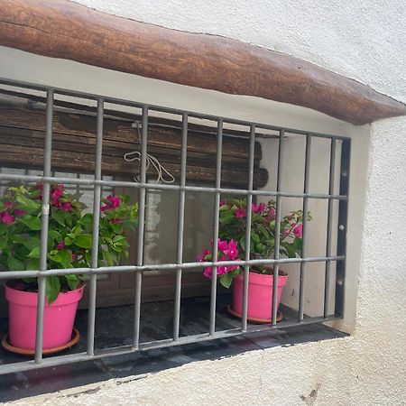 Vila La Cuadra De Anita Mecina Fondales Exteriér fotografie