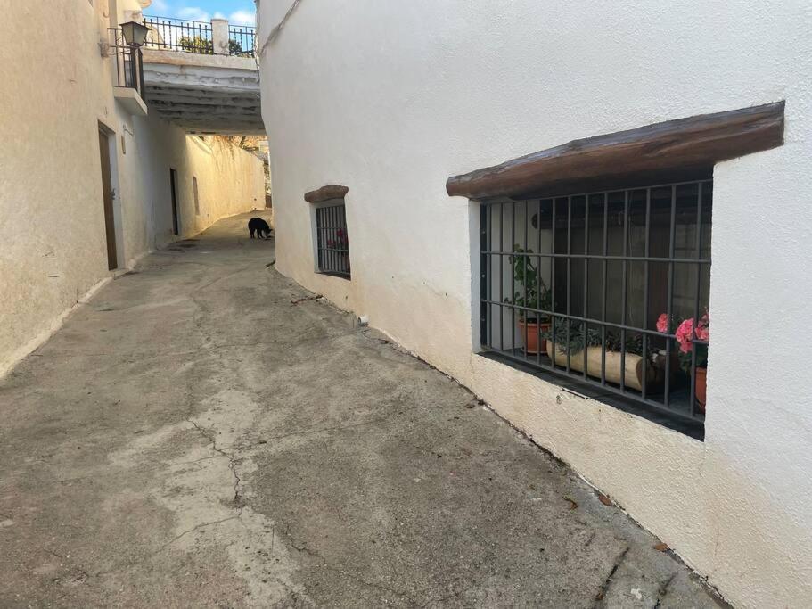 Vila La Cuadra De Anita Mecina Fondales Exteriér fotografie