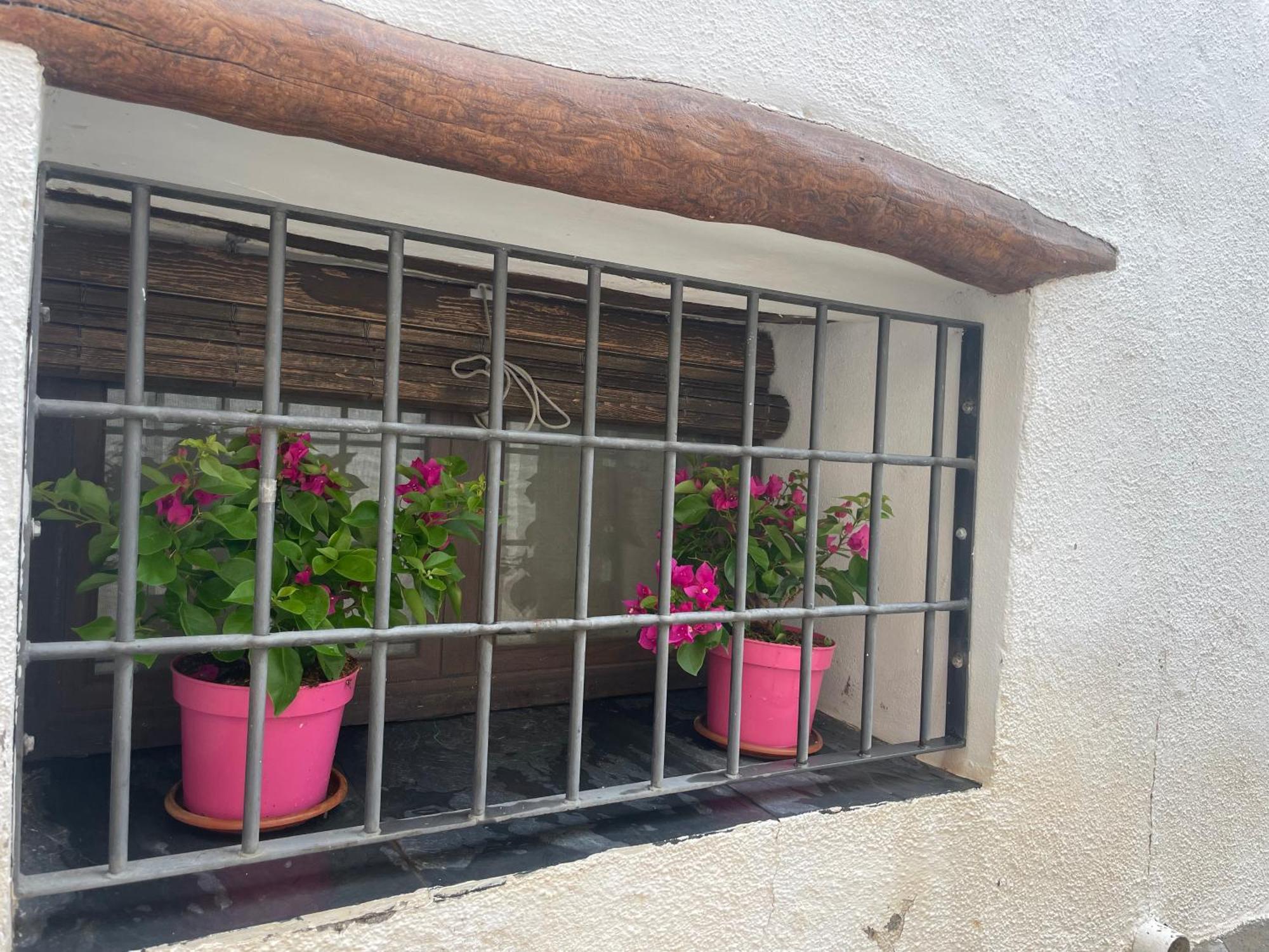 Vila La Cuadra De Anita Mecina Fondales Exteriér fotografie