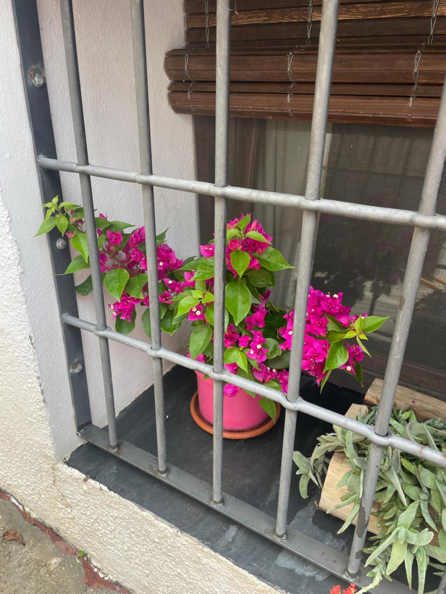 Vila La Cuadra De Anita Mecina Fondales Exteriér fotografie